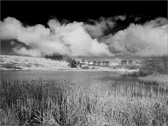 Priddy Ponds, Snow 