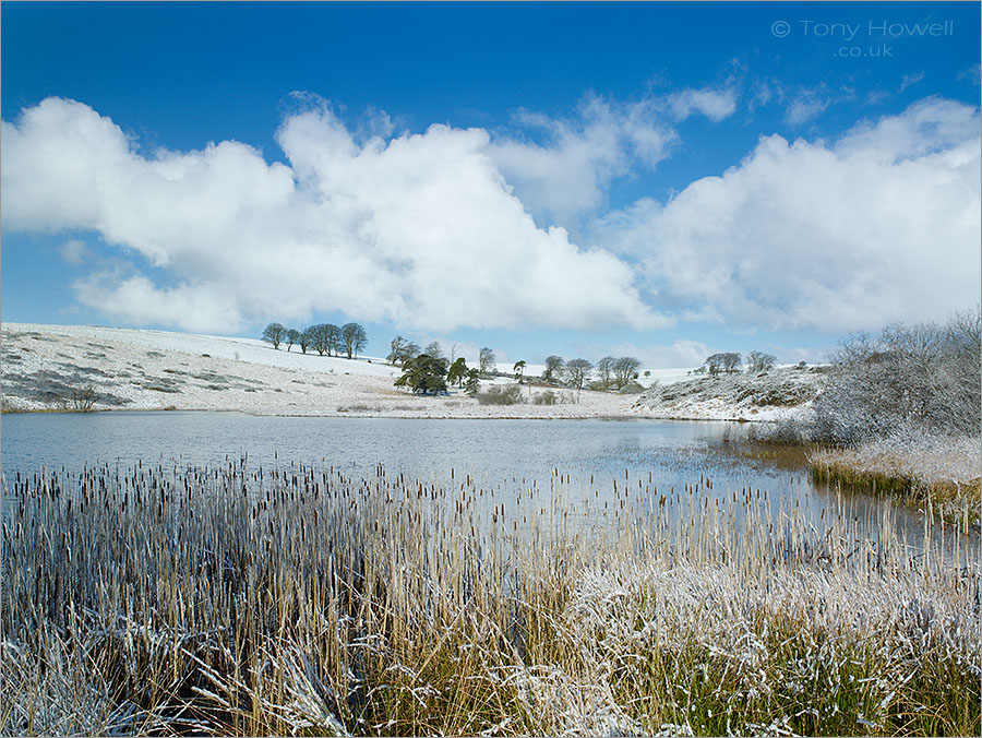 Priddy Ponds, Snow