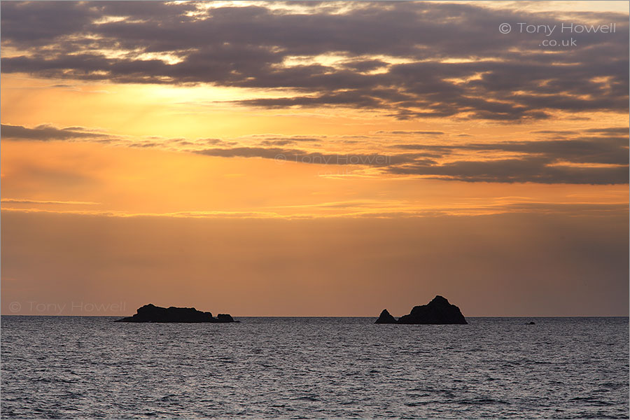 Quies, from Constantine Beach