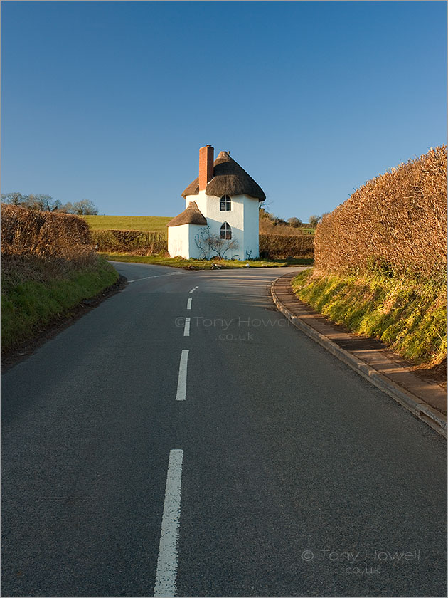 Thatched Cottage