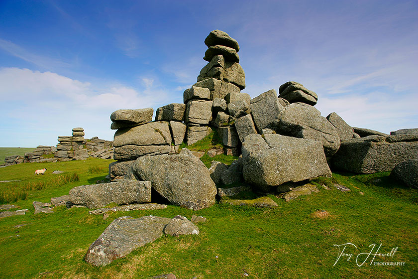 Staple Tor