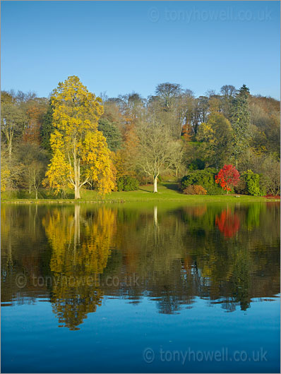 Stourhead Lake, Autumn