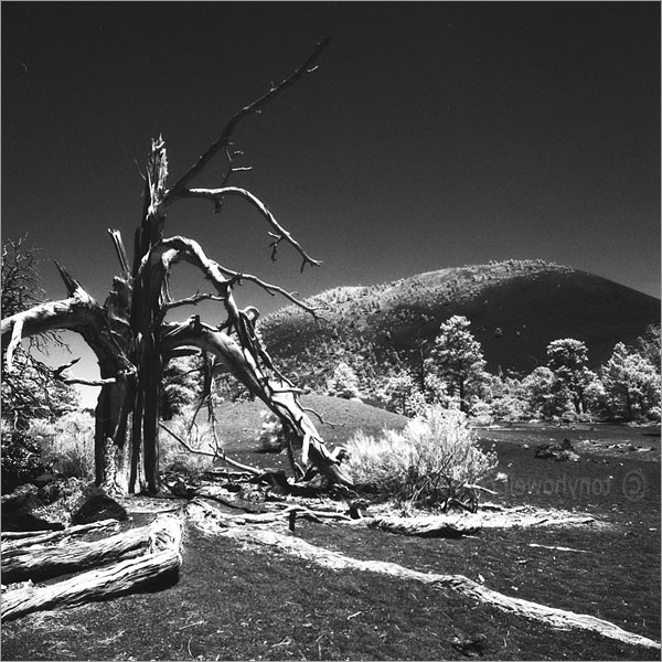 Sunset Crater, Arizona