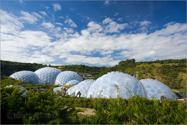 The Eden Project, Biomes