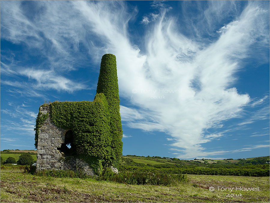 Tin Mine with Ivy, Redruth