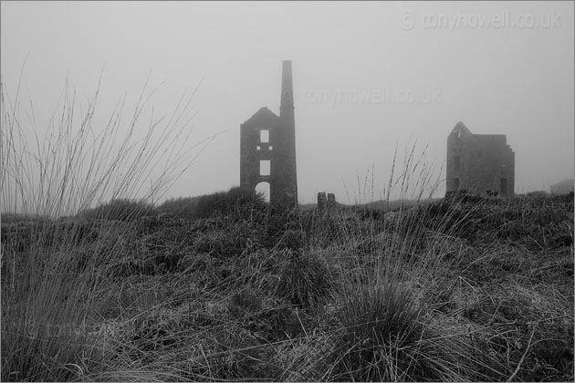 Tin Mines
