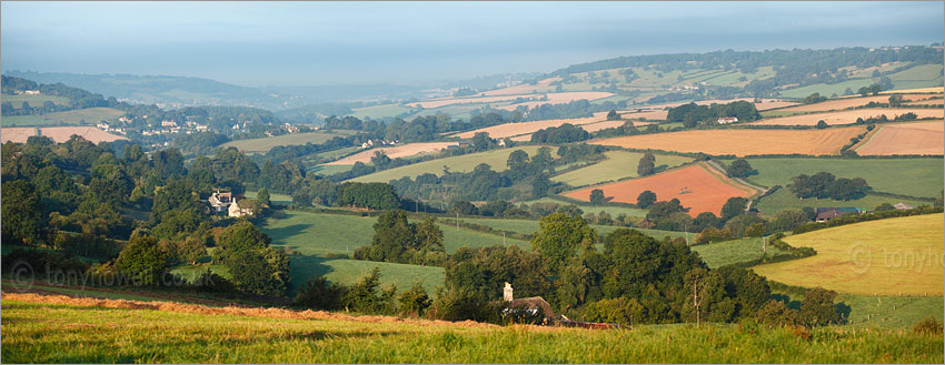 View from Box Hill