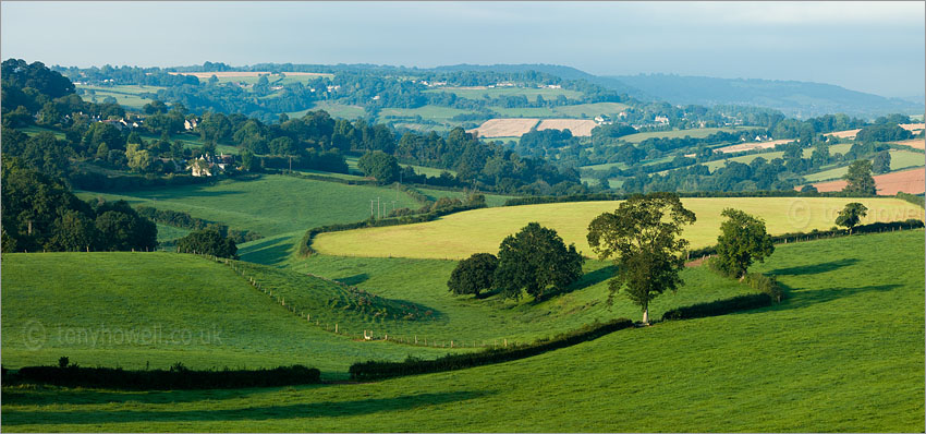 View from Box Hill
