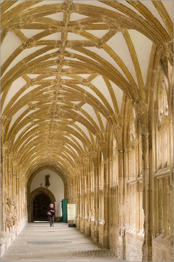 East Cloisters, Wells Cathedral
