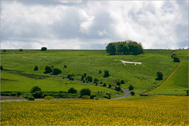 White Horse