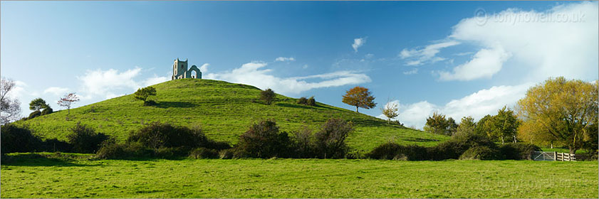 Panoramic Burrow Mump