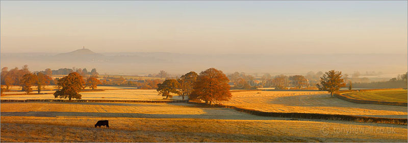 View to Glastonbury Tor, Mist, Dawn