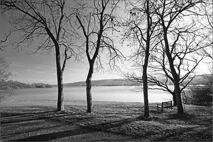 Blagdon Lake through Trees