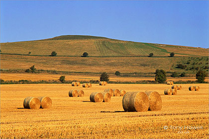 Hay Bales, Vale of Pewsey